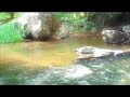 Lair of the Bear : AIPTEK A-HD