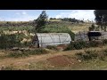 Click here to watch this video Five Talent Church IDP Camp Visit