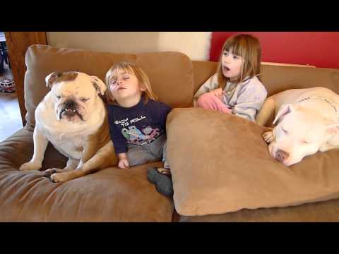Ryder - This is a quick video of our son Ryder and Bulldog Rosco simultaneously dozing off for a nap. Also in the video is our daughter Riley and Pit Bull Stella !