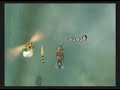 Mario Kart Wii - Mushroom Gorge ULTRA shortcut Mario Kart Wii - Mushroom Gorge ULTRA shortcut