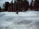 Larven