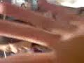 Krispy Kreme Krispy Kreme