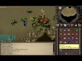 Runescape: Dragon Chainbody from soloing Kq Runescape: Dragon Chainbody from soloing Kq