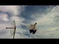 Exotic & Fancy Birds - Helmet Crested Fancy Pigeons Free Fly - Doha,qatar