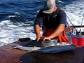 The freshest Yellowtail and Tuna Sashimi The freshest Yellowtail and Tuna Sashimi