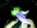 How to Field Dress a Furby