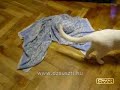 F�rd�s ut�ni m�ka