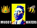 "I'm A King Bee" 🐝 Muddy Waters