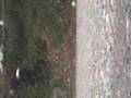 StreetHockey in sodermanland