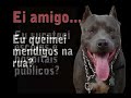Campanha Pro Pit bull