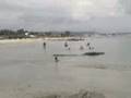videos de los vipers en la playa.3gp
