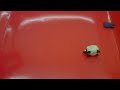 Pig Bomb (6 fps)