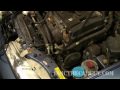How To Use A Timing Gun : Honda/Acura