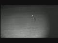rabbits and 2 foxes filmed with a yukon ranger nv. the 2nd fox stays in the hedge but you can see the eye shine.