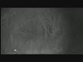 rabbits and 2 foxes filmed with a yukon ranger nv. the 2nd fox stays in the hedge but you can see the eye shine.