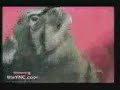 Re: Talking Cat  [Slow Motion !!]
