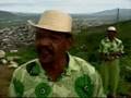 Samba de Côco Raízes - Arcoverde - PE