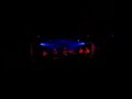 taranta nights all'estragon