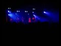 taranta nights all'estragon