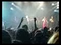 taranta nights all'estragon