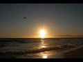 \"Where Do You Go\" (Spanish) - No Mercy