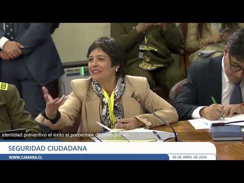 Defensora Nacional expone ante C&aacute;mara de Diputados por proyecto sobre control de identidad