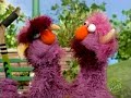 nick and aaron carter on sesame street