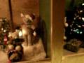videos de Christmas Lights