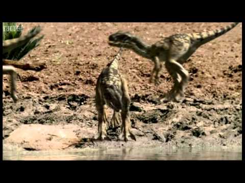 Allosaurus