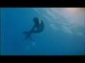 So you thought Mermaids were only in fairytales?