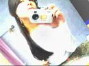 coyote s2 leeh