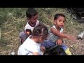 NSZ Fight pu mo freedom - Mauritius Hip Hop