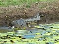 Kakadu National Park