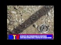 Click here to watch this video Acidente na Cidade de Monteiro