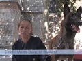 S�curit� Bodyguard Carats Libertyprod