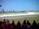 Misano 2008 \"Angelo c\