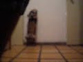 Bailando Electro! / Pasos Flying