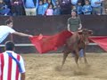 Los Torros