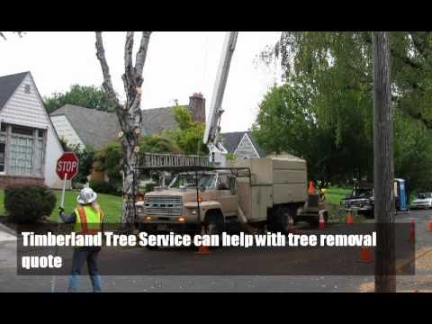 how to quote tree removal