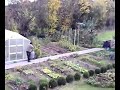 Reh in meinem Garten Erschossen Reh in meinem Garten Erschossen