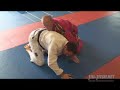 Gene Simco BJJ Instruction