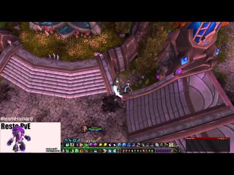 how to collect followers in wod