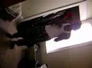at-damons.html