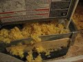 Are Your Condensate Pans Clean?