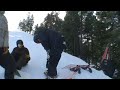 bear shredding with thor