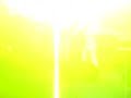 el mochomo en rodeo de los angeles california