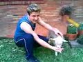 Luke has a little sheep Luke has a little sheep