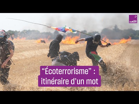 Image de prévisualisation YouTube