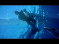 Spearfishing Pescasub Dentice 7,54 chili Spearfishing Pescasub Dentice 7,54 chili