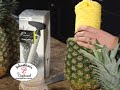 Kitchen Gadget - Vacuvin Pineapple Slicer